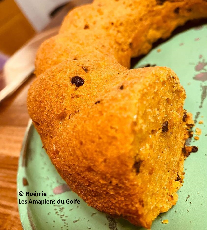 Gâteau Potimarron Chocolat-Vanille