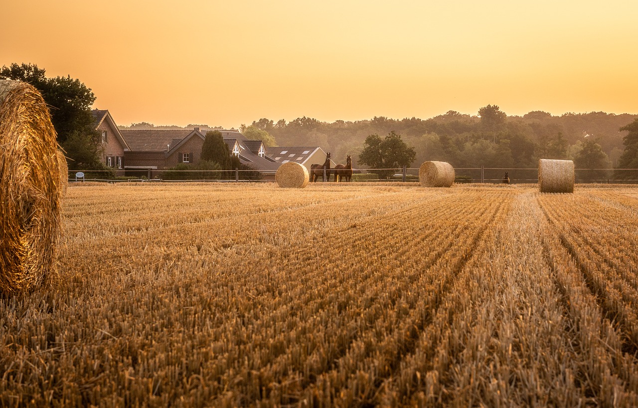 Aider au maintien à l’emploi des agriculteurs handicapés ou malades